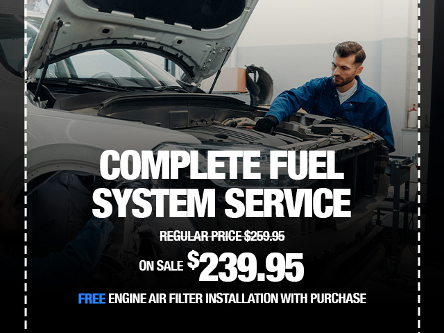 Complete Fuel System Service